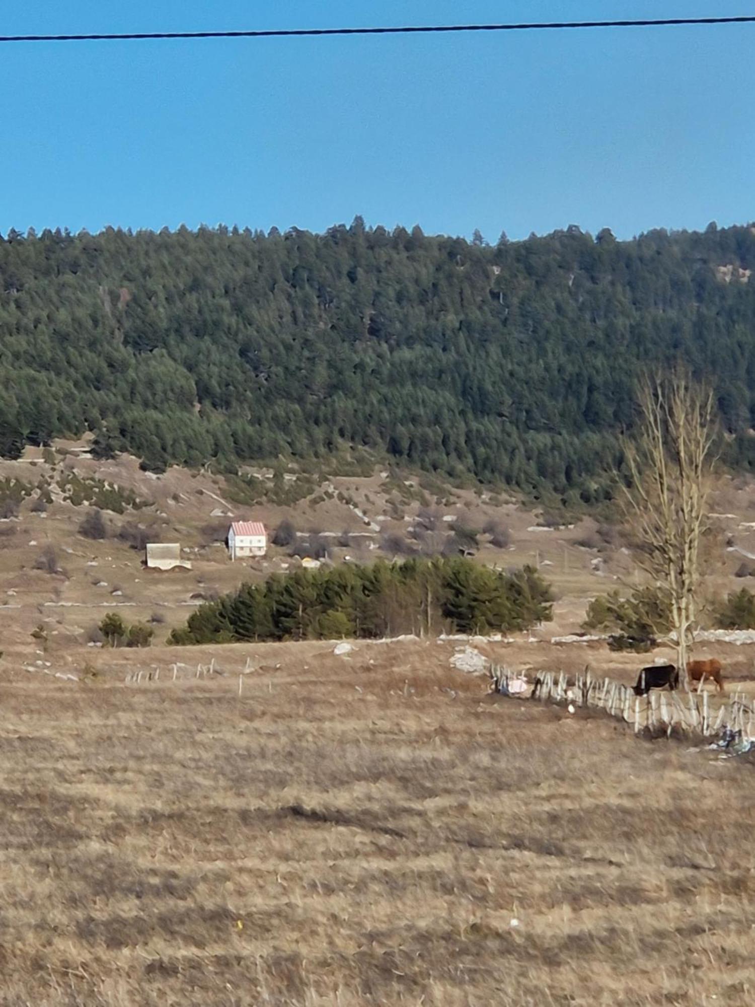 Cozy Home Small Bear Žabljak Zewnętrze zdjęcie